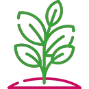 Speech to Text Reporter (STTR)